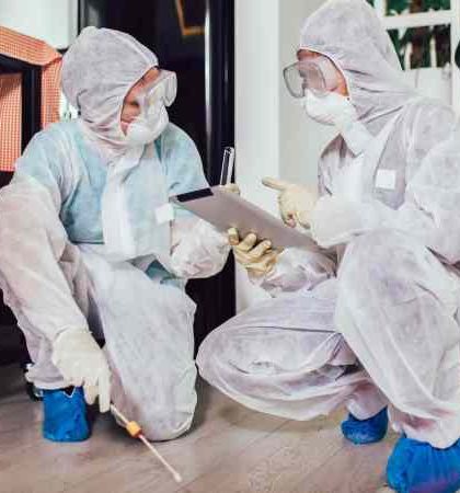 The Reasons for Hiring Bedbug Exterminators