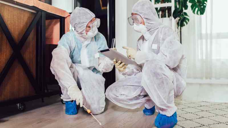 The Reasons for Hiring Bedbug Exterminators
