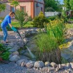 Best Reasons Why You Should Hire the Services of a Reputable Pond Maintenance Company