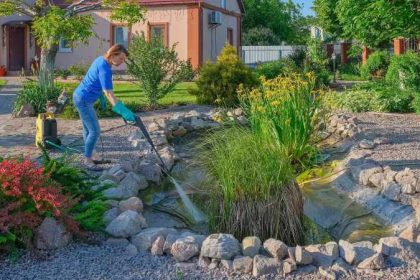 Best Reasons Why You Should Hire the Services of a Reputable Pond Maintenance Company