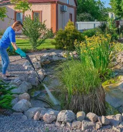 Best Reasons Why You Should Hire the Services of a Reputable Pond Maintenance Company