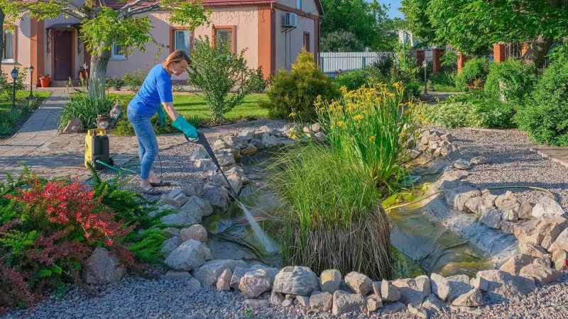 Best Reasons Why You Should Hire the Services of a Reputable Pond Maintenance Company